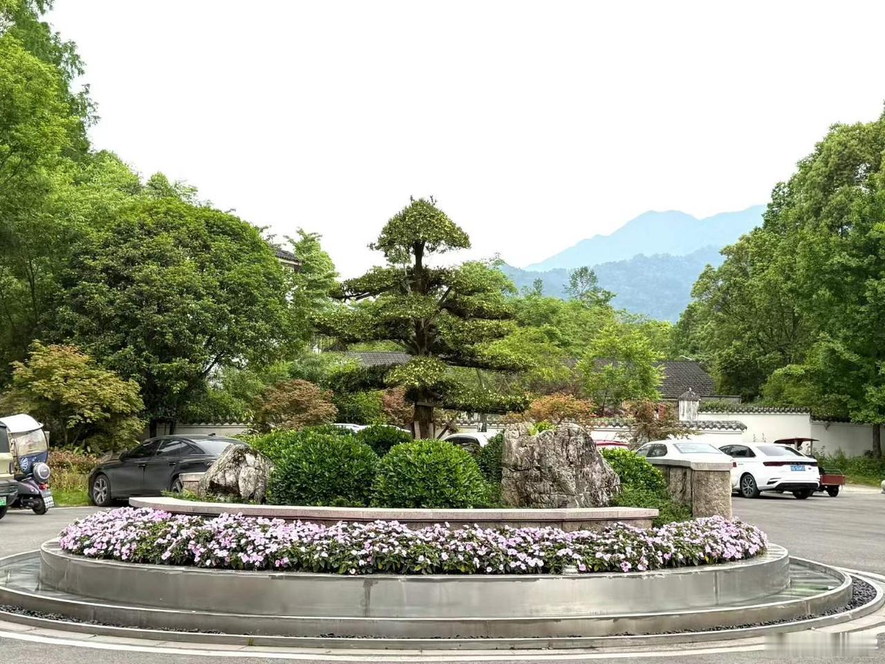 何为最好的晚年？
受邀走进四川宝山村庄发展学院，为成都市农业农村局退休干部讲【阳