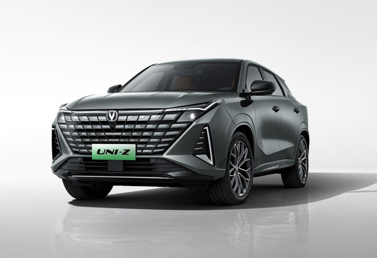 2024款蓝鲸智电iDD 125km超越型，车辆出现两次空调开关异常，4S店回复