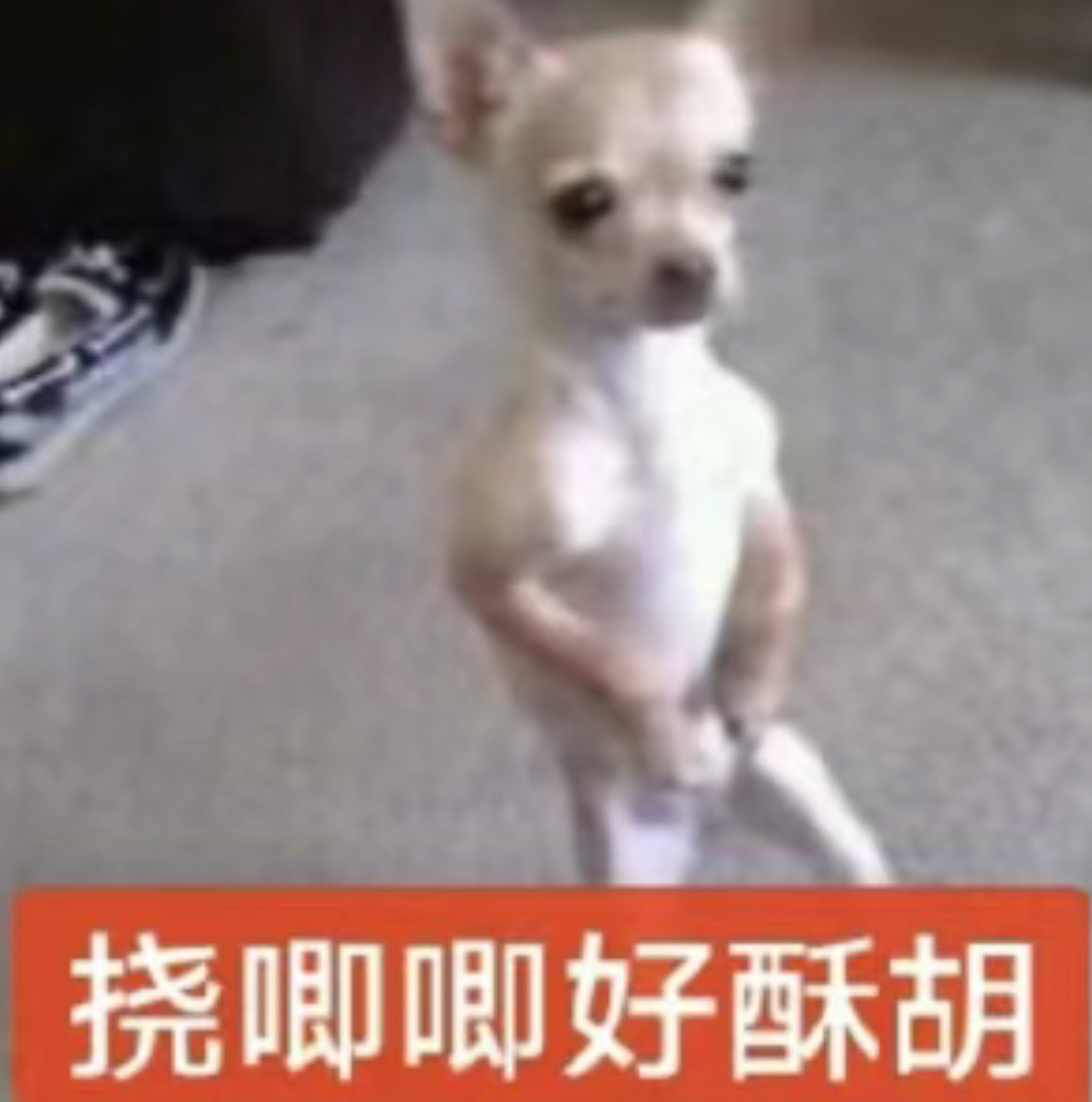 我现在每天有事没事就嬤一嬤张新成感觉自己活的特别通透… ​​​