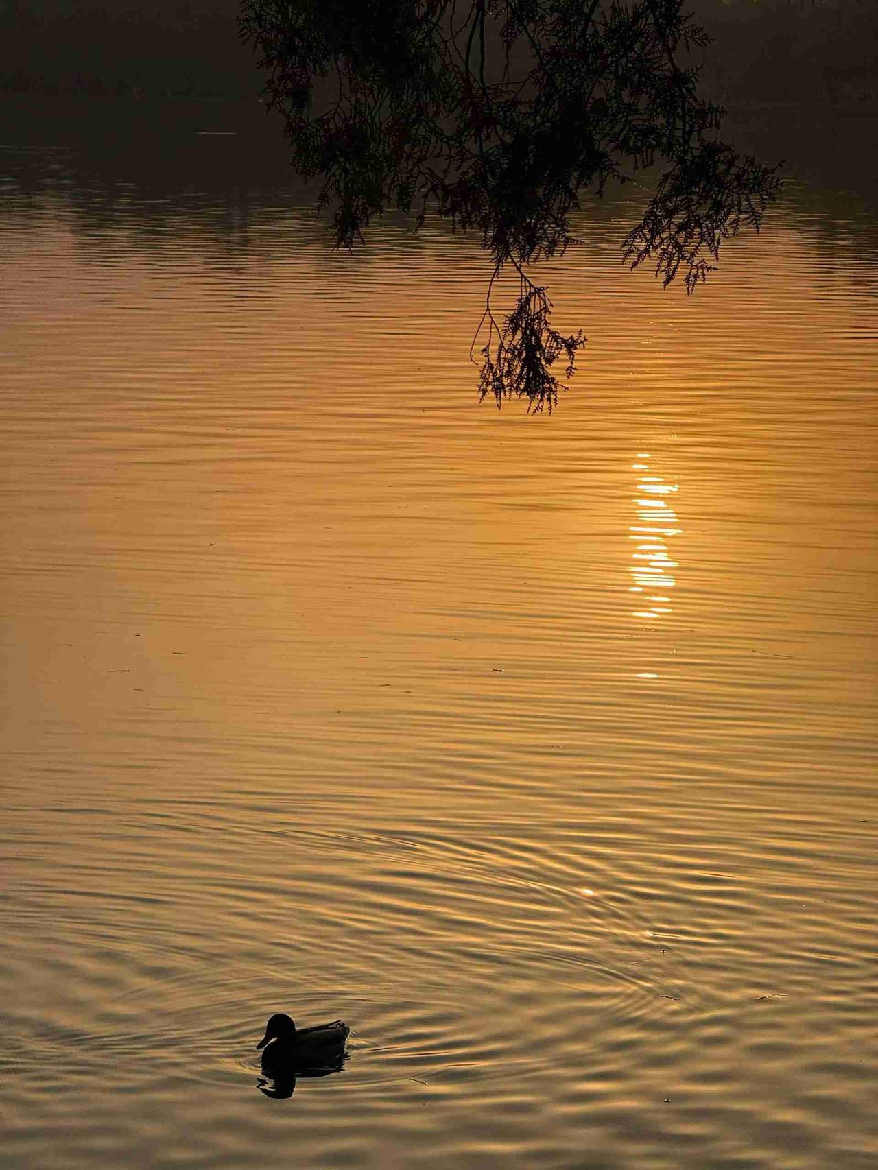 我的今日状态：😁轻松愉快
我这里的天气：☀️晴天