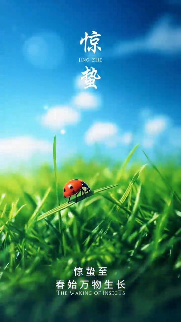 惊蛰。
惊蛰至，春始万物生长。惊蛰至，万物生长。