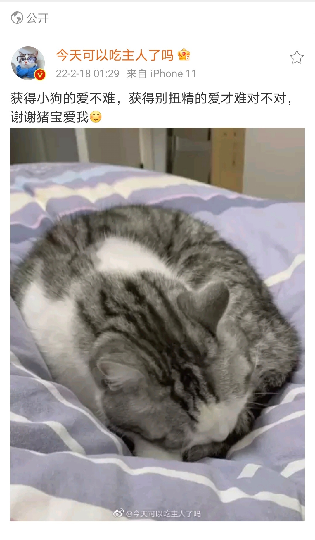 今言今语 别扭精爱妈妈 