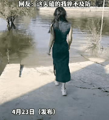为了流量也是拼了，但是不管怎么样，也得注意安全，毕竟生命只有一次。