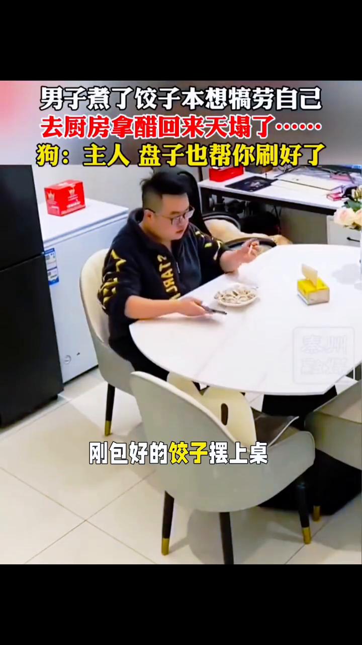 男子煮了饺子本想犒劳自己，去厨房拿醋回来天塌了。
刚包好的饺子摆上桌，转身去拿醋