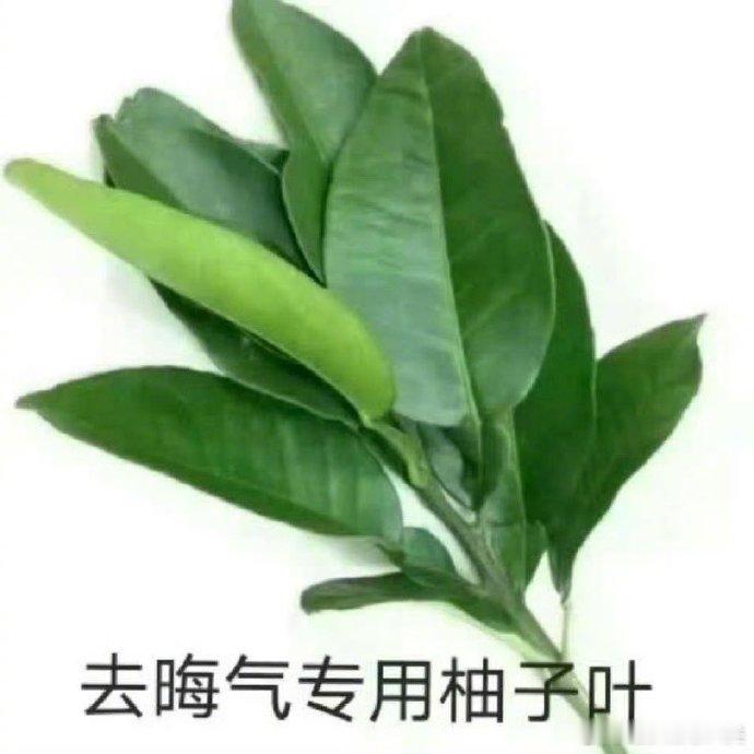 五秒内点赞，去晦气，远小人，霉运退退退 