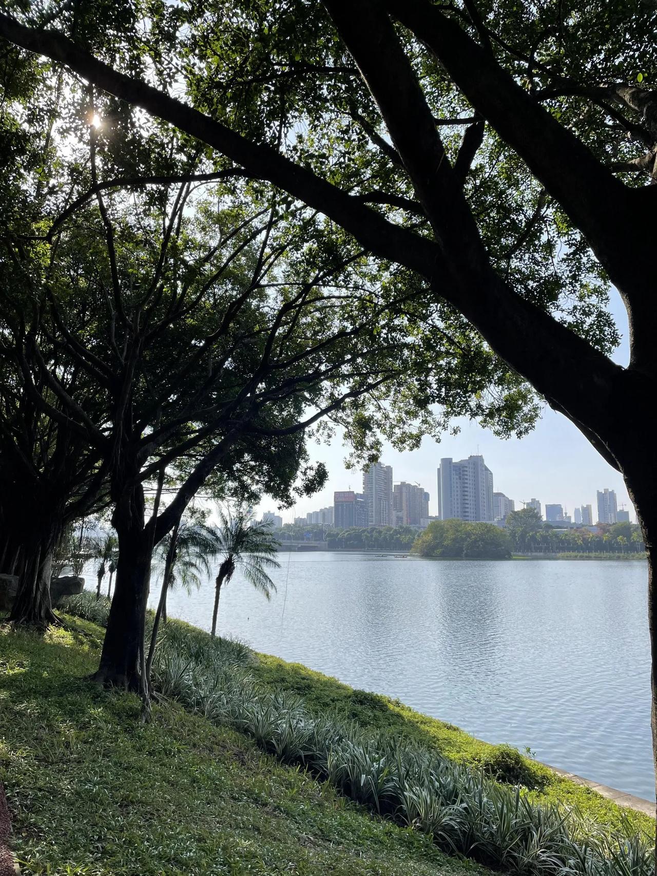 振兴东北还要等多少年呢？南方这么好的冬天，真的有人愿意回西北/东北吗？
移居南方