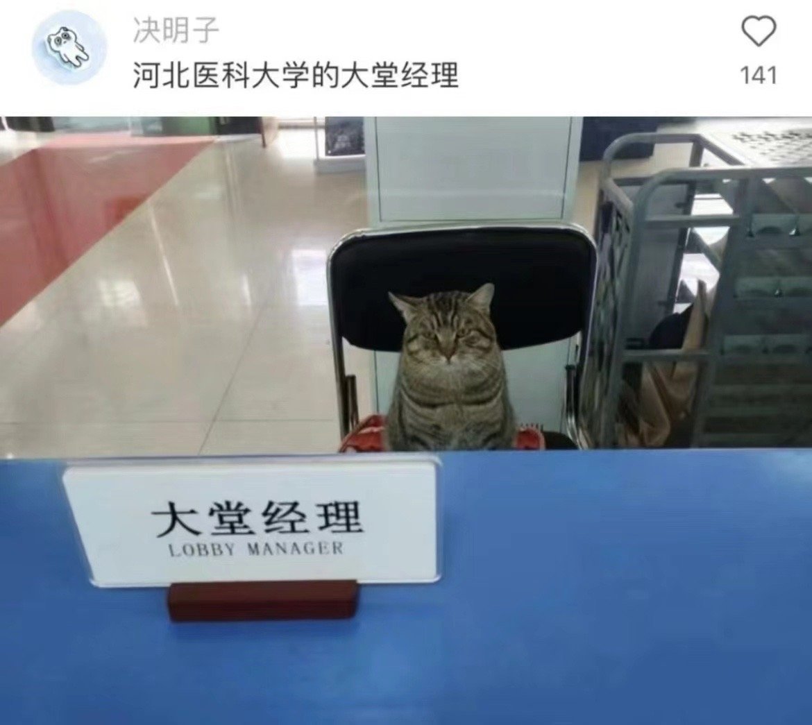 #大学里的动物有多卷#大堂猫经理在线值班 ​​​