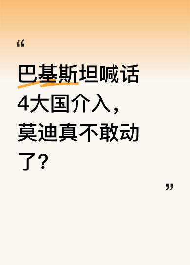 巴基斯坦这招挺聪明，没有完全依赖中国。它喊话另外4个大国介入相关事务，这一举措似