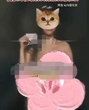 长沙一名女大学生创业借钱还不上，掉进了高利贷的圈套。债主把她关起来，拿公开裸照相