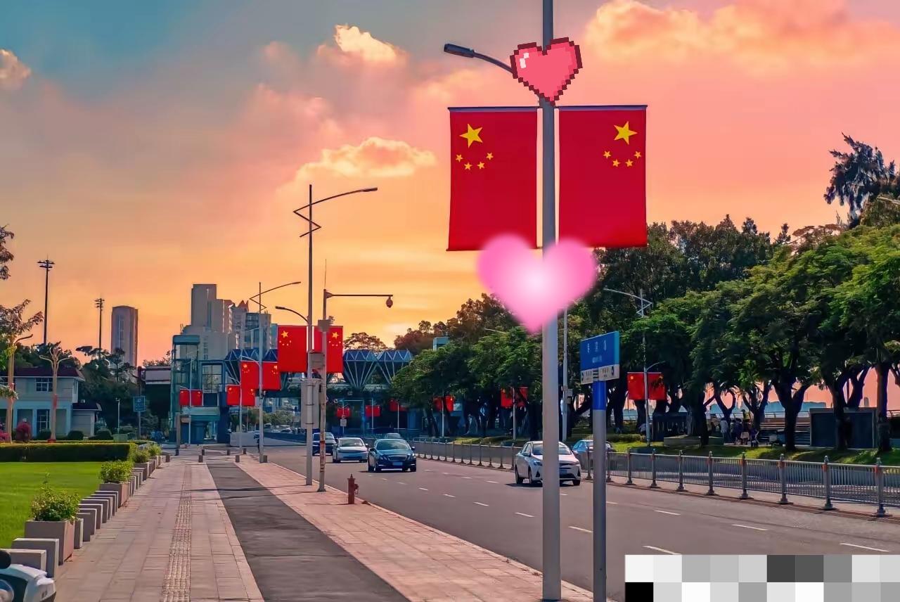 打得一拳开，免得百拳来！荷兰这次是真把“契约精神”当废纸，明目张胆对中企动粗了。