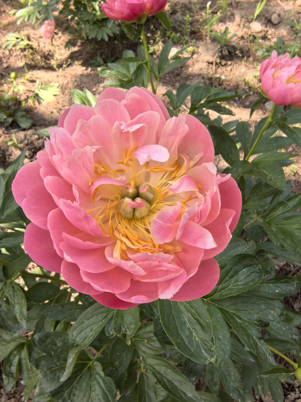 停更很久，突然被一句话泪目，想记录一下:
“命运没有对错，我们只有接受他，珍惜他