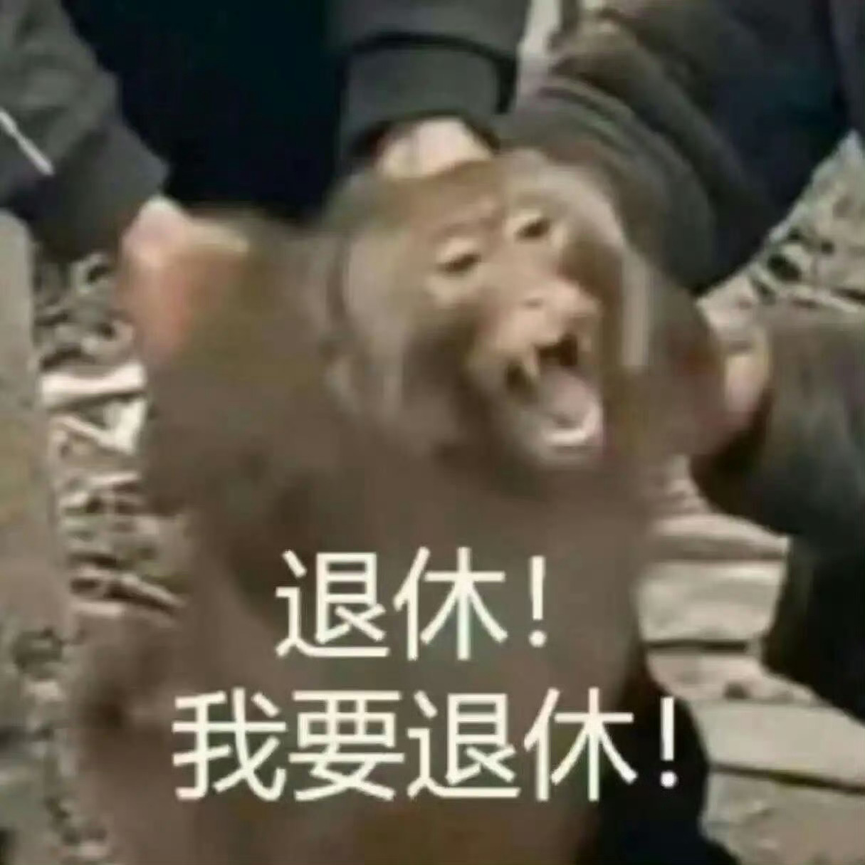来医院拍片了，昨儿上班坐久了起来活动身体按后背突然摸着左右两边怎么有一块不一样，