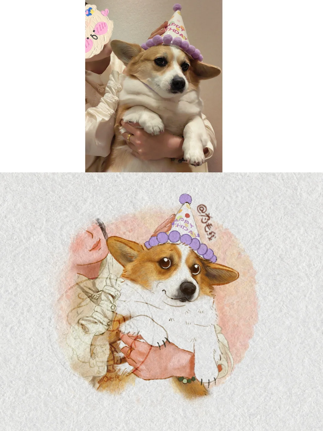 📢修狗生日啦🥳