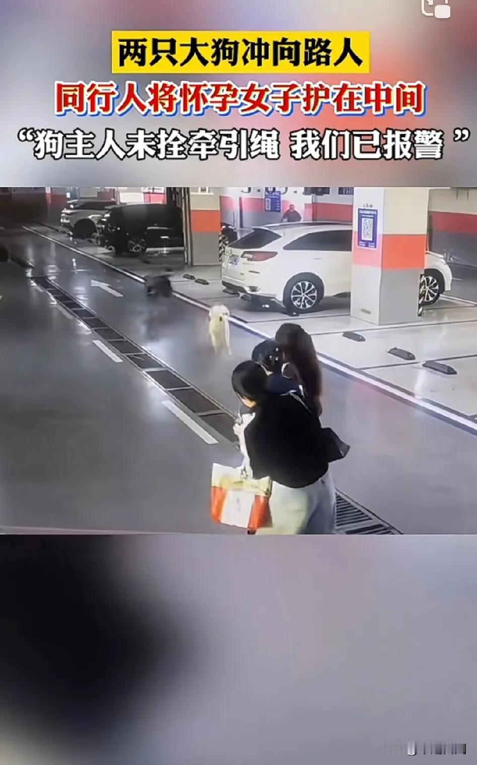 有一次我们去河边露营烧烤，好多家庭带着孩子都在露营，有一家人带条大狗也不栓疯跑，