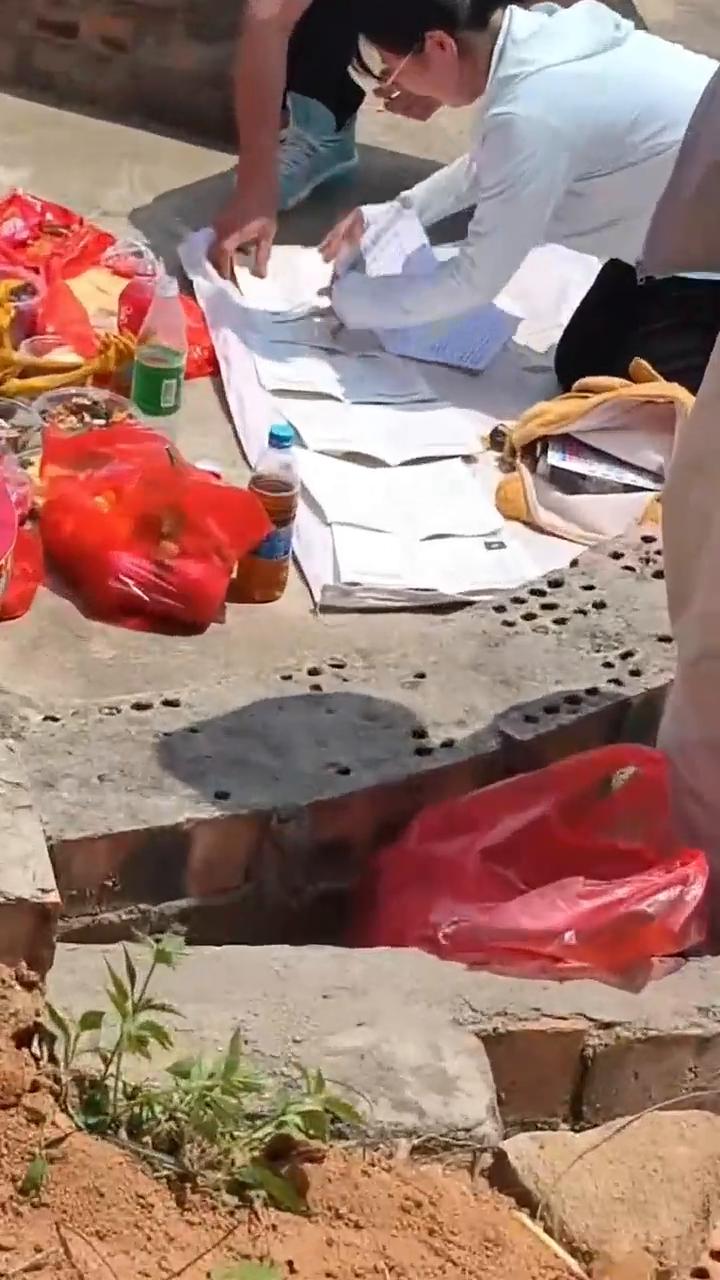 今天来把坟桑洗完。