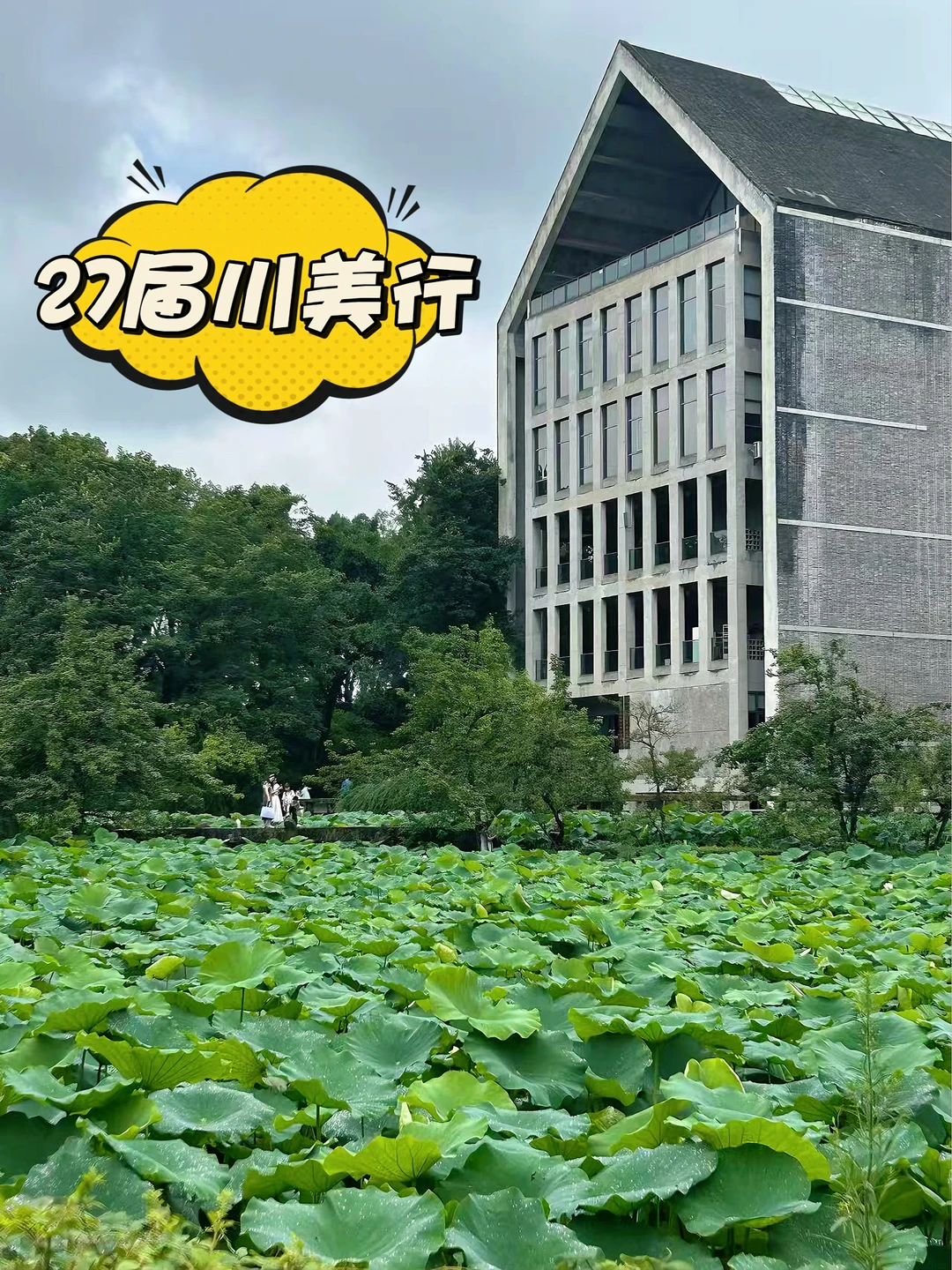 27届川美行