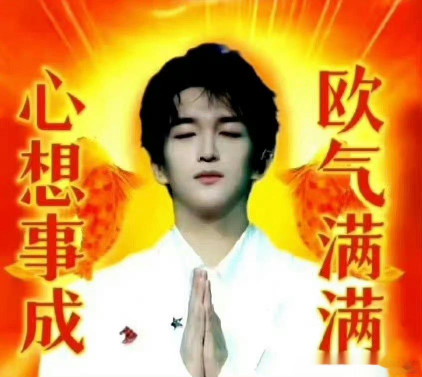 #黄子弘凡同款许愿树#太懂我了，这不是我需要的吗，我有很多的心愿，希望可以实现呢