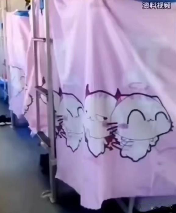 卧铺床帘走红，12306说"少量配备"，旅客说"全面普及"
动车加装卧铺床帘走红