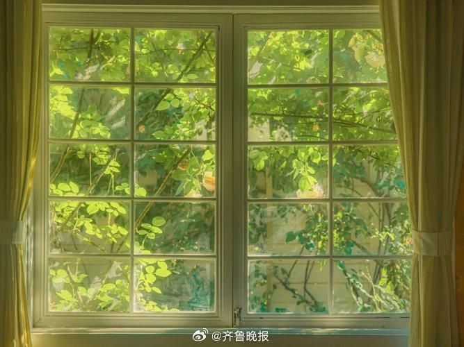 #早安# 快乐总喜欢躲在细节里，善于发现生活，才能感受到更多快乐。 ​​​