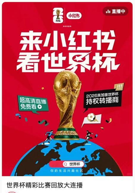 本届世界杯惨案来得太快了冷门频出观赛氛围拉满，海外球迷却要承担高额转播费。小红书