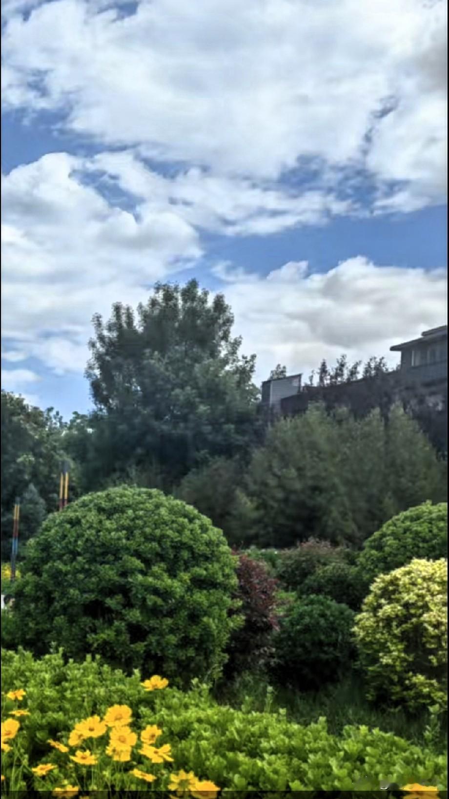 夏日美景如画，
我看到了蓝天白云，
鲜花与绿植，
构成了一幅美丽的画！
