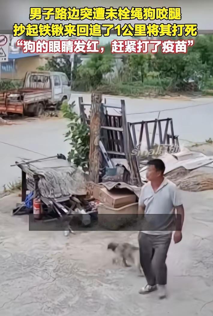 流浪疯狗当街袭人，男子追击将其捕杀，网友却吵翻了天。

6月15日安徽蚌埠，张先