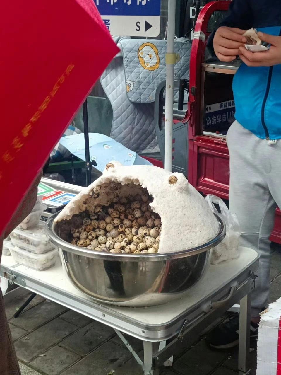 生活中总藏着一些可爱[二哈]生活里乱七八糟又搞笑可爱的图#新年快乐漫游指南# ​