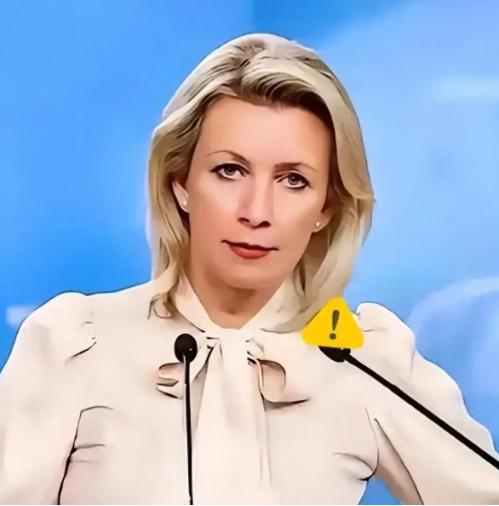 俄罗斯专家公开向中方提出提醒！如果将来中国和日本爆发全面冲突，我们必须做好打持久