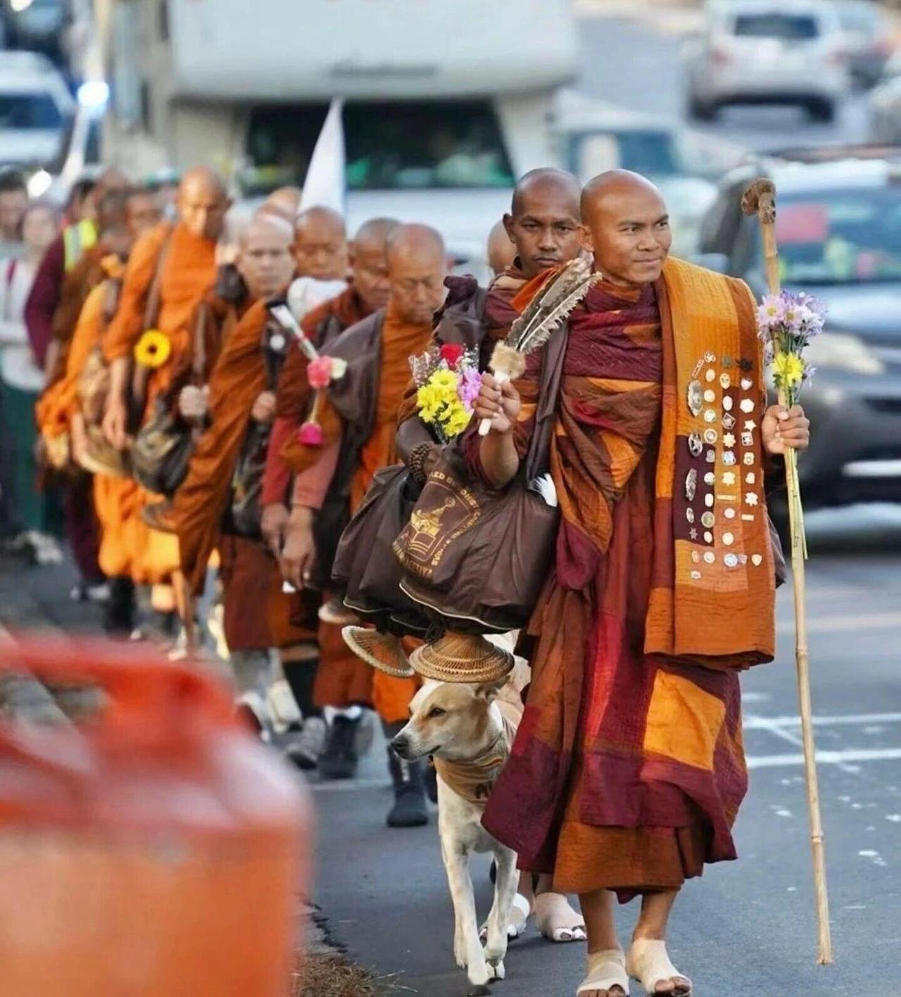 近期一则特殊的和平行动引发广泛关注：十九位僧侣从美国德克萨斯州沃斯堡出发，以徒步