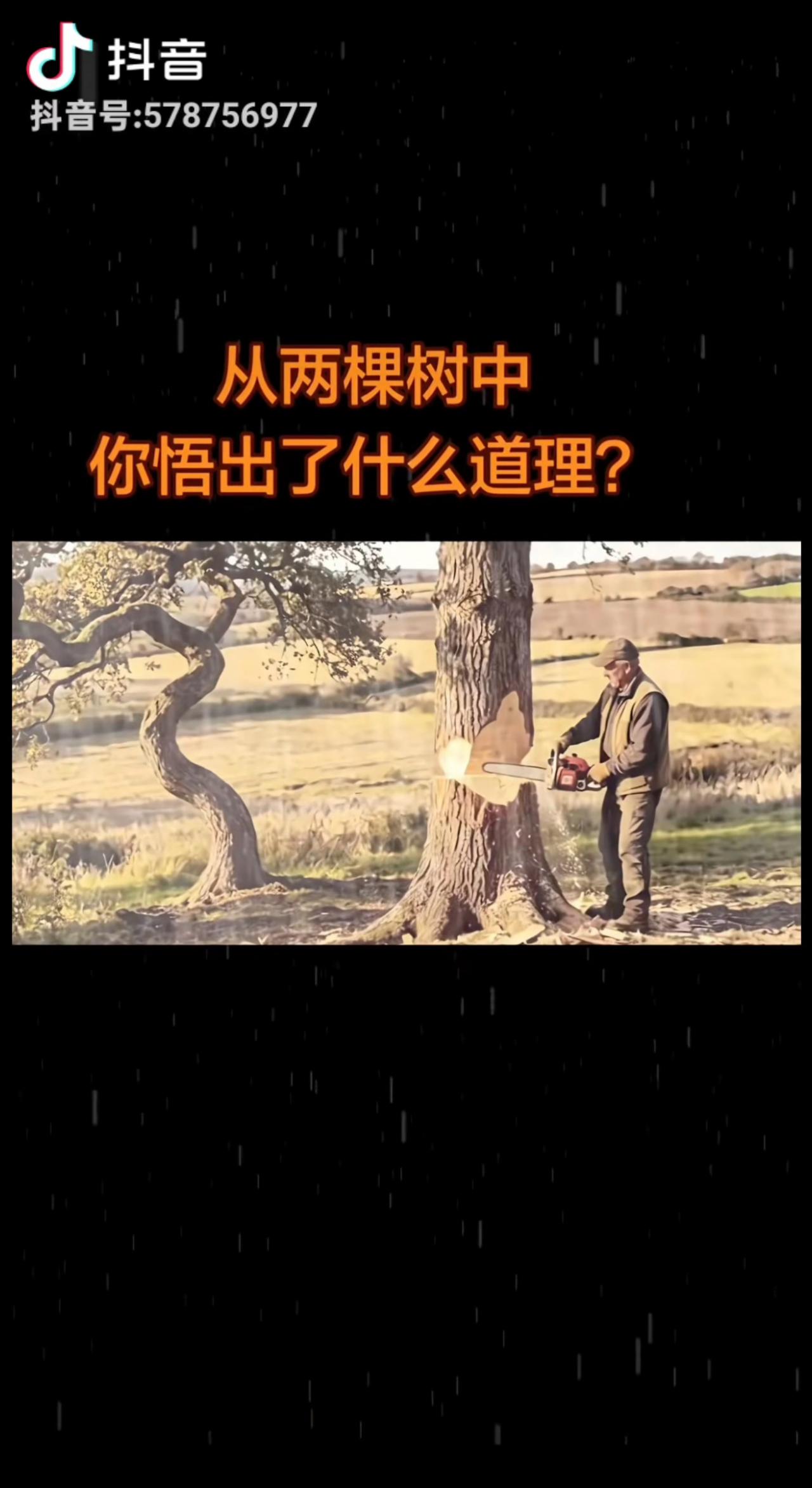 古训，
人留嘎咕树，
天留嘎咕人！
直木成材，弯木成景!
人生百态，各有归途。
