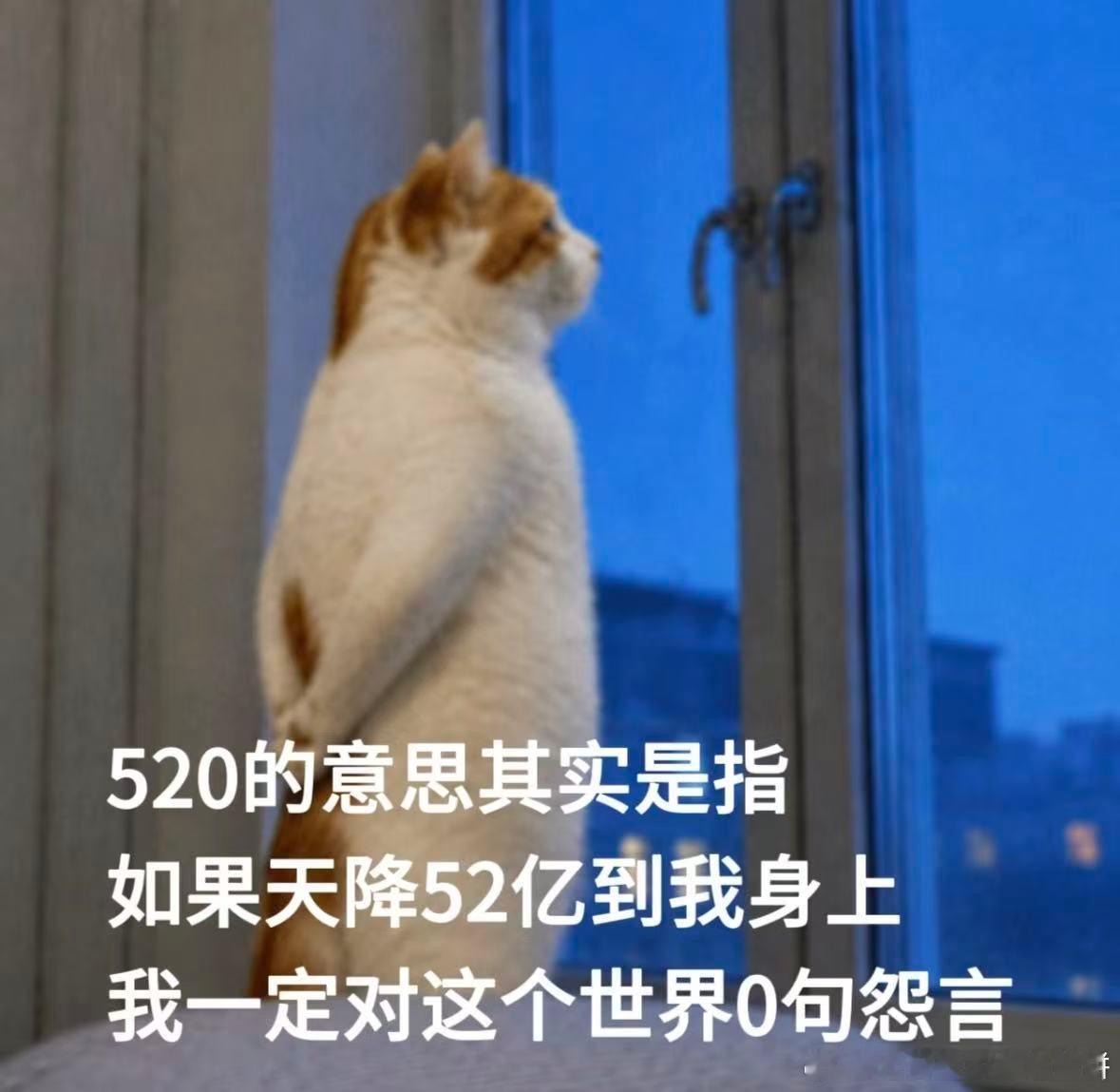 我的520愿望 