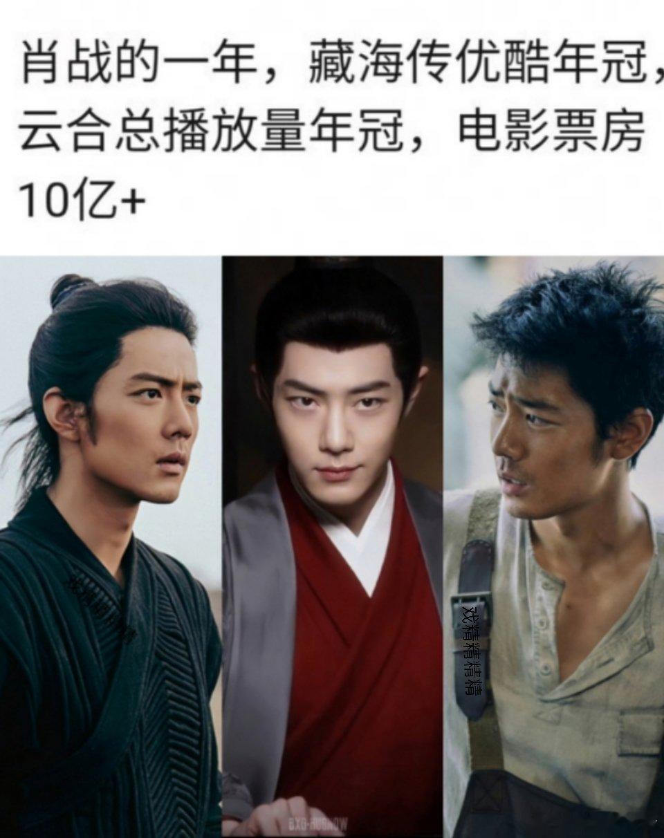 肖战的一年2025年两部大电影一部古装权谋剧。《藏海传》创下国产剧巅峰之作；《射