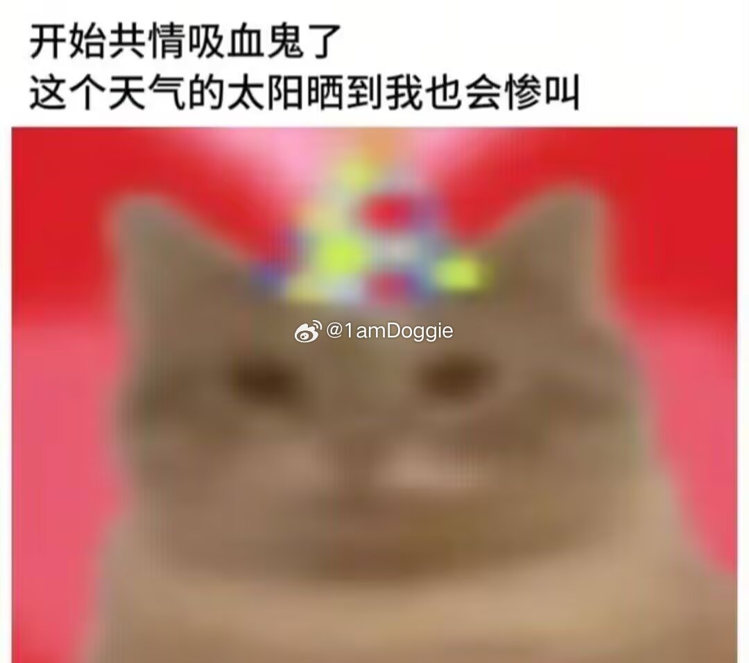 又到了拿出这个表情包的时候了 