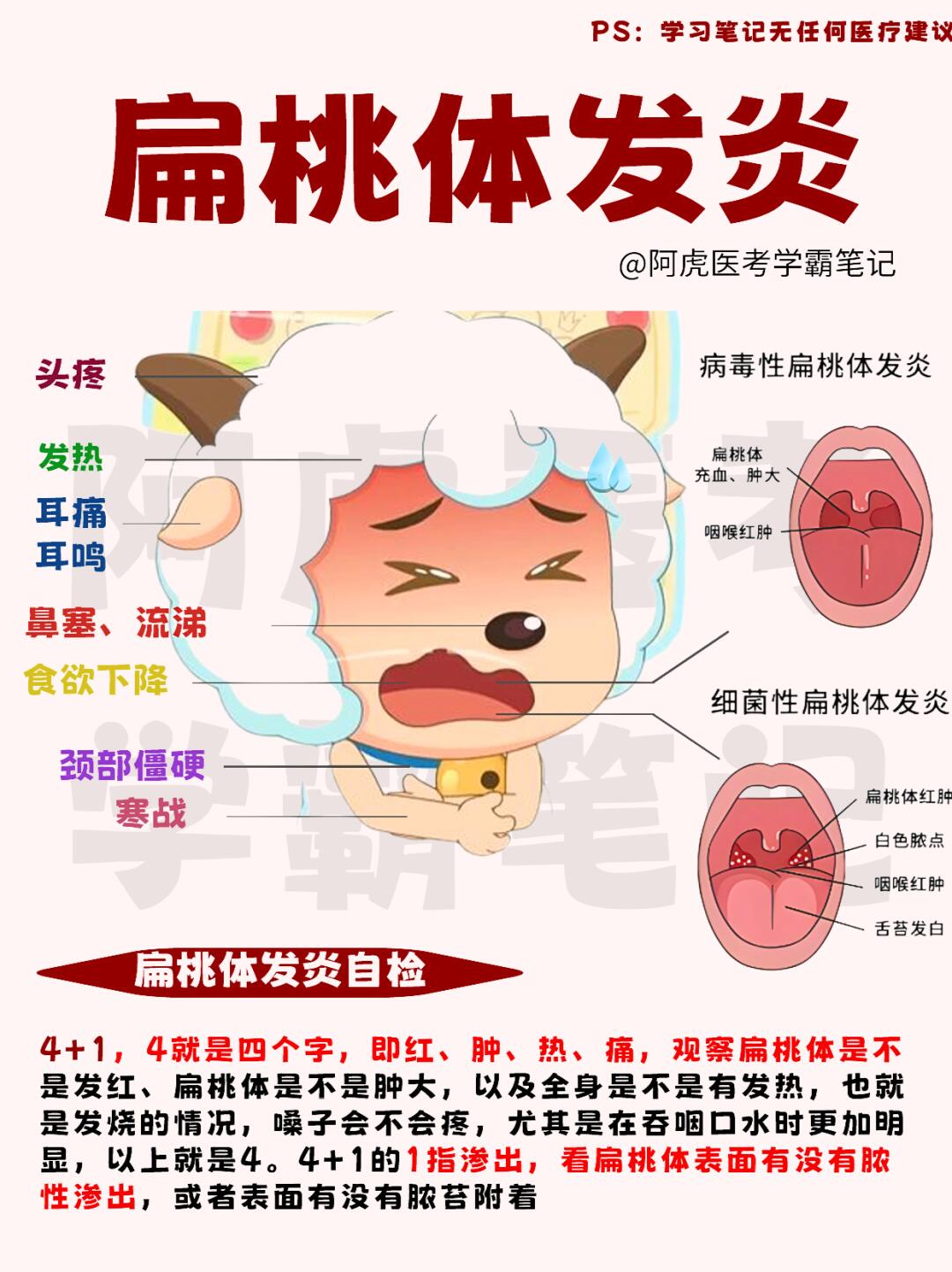 医学生笔记📒：扁桃体发炎👆