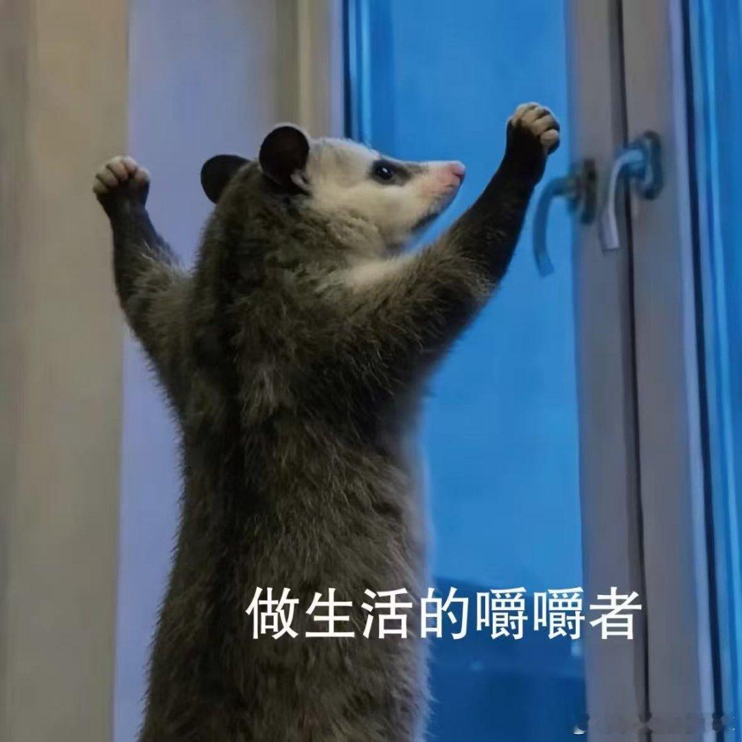 一分钟也不在工位上多待！回家煮饭吃！ 