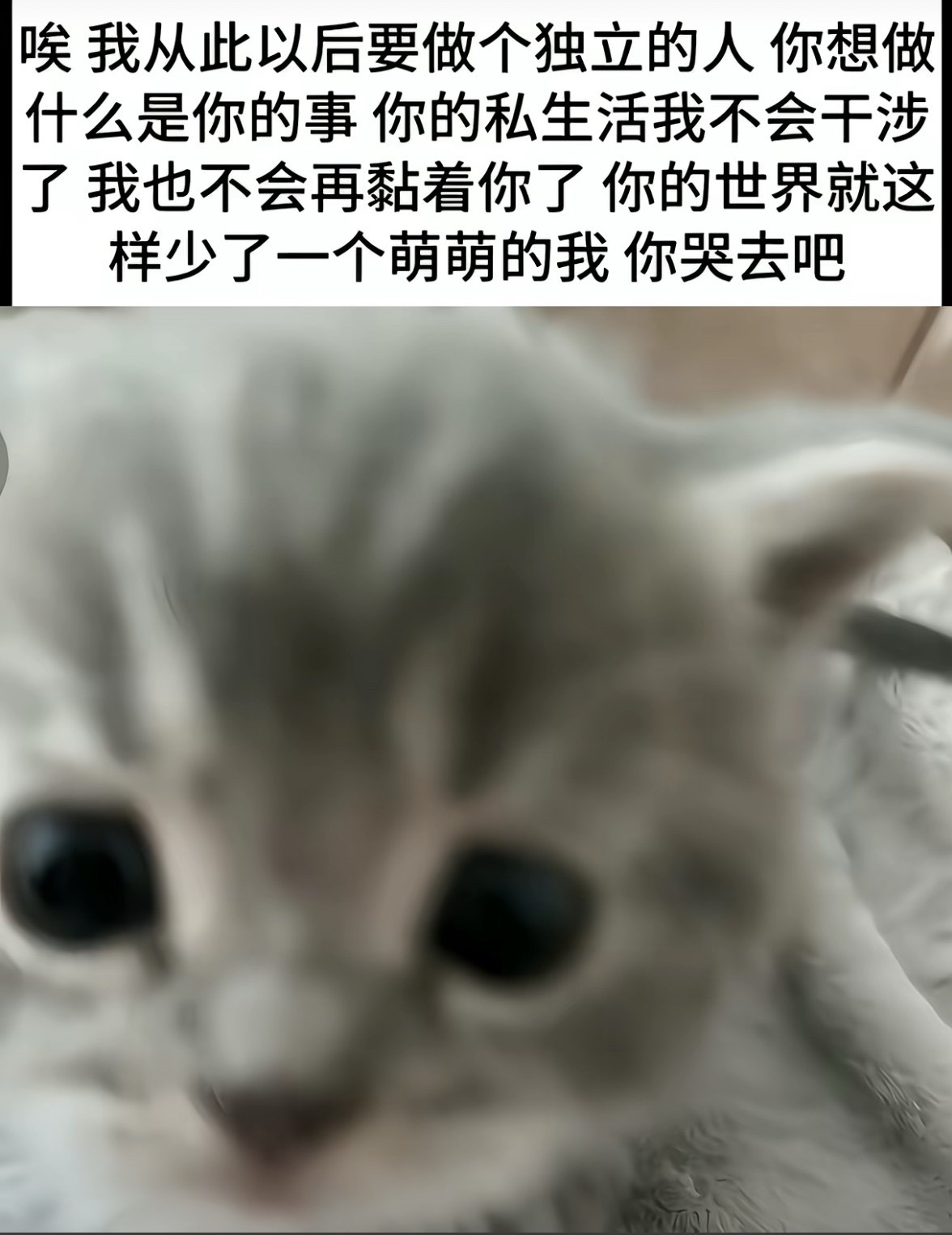 我也想给你们699人一个家 