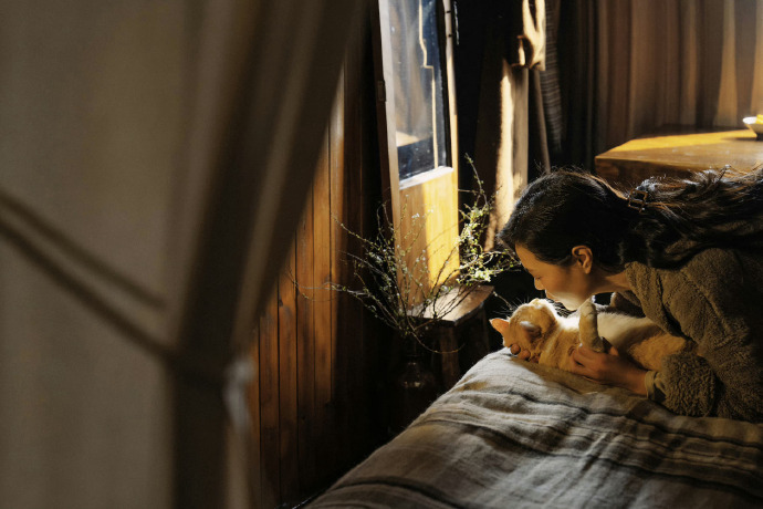 希望你啊一生有山可靠，有树可栖与心爱之人，春赏花 夏纳凉 秋登山 冬扫雪过四季。