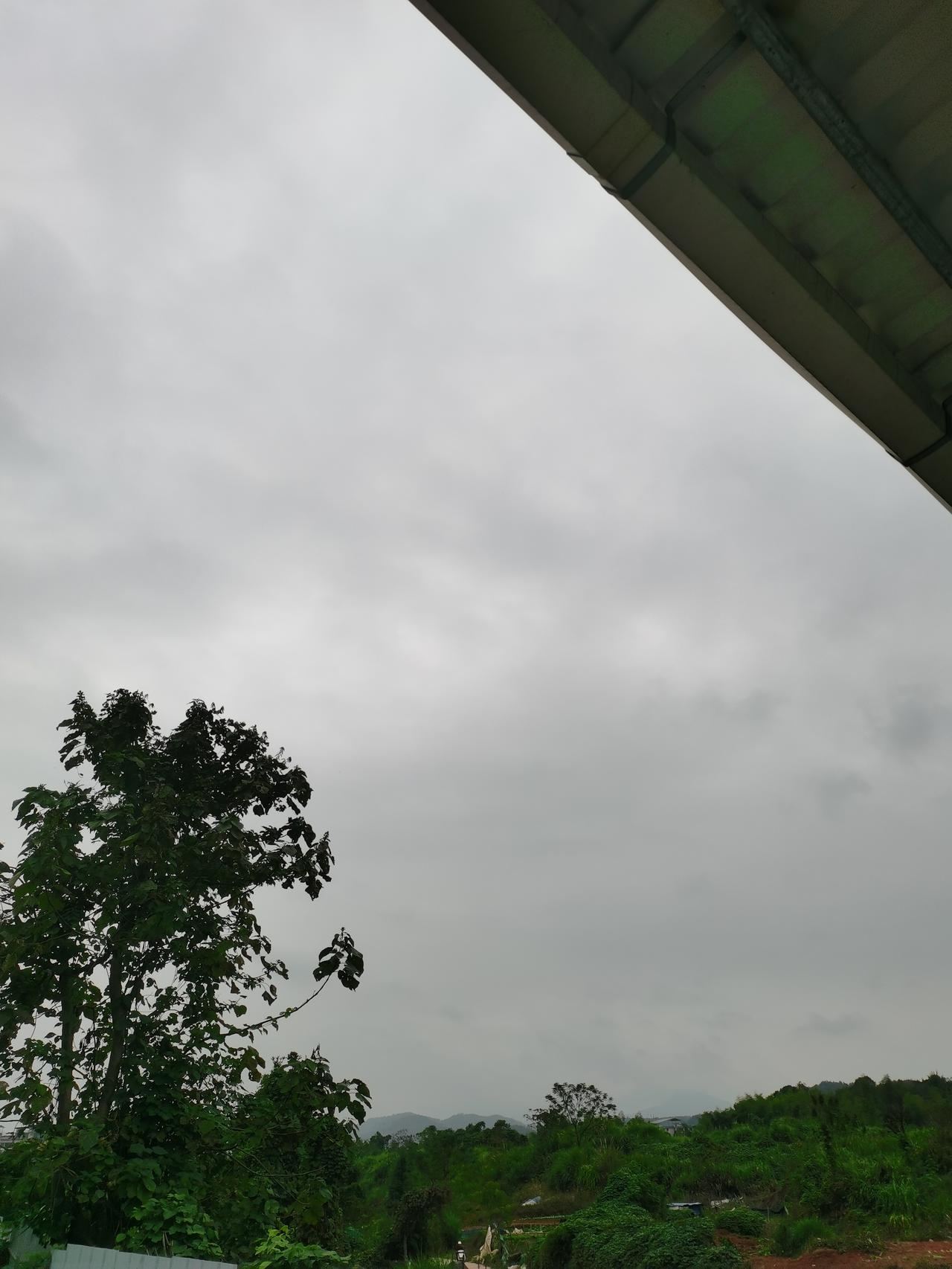 今天天气雾蒙蒙的，细雨绵绵。
已过立冬，福建的天气就是这样，没有秋天，夏天过完，