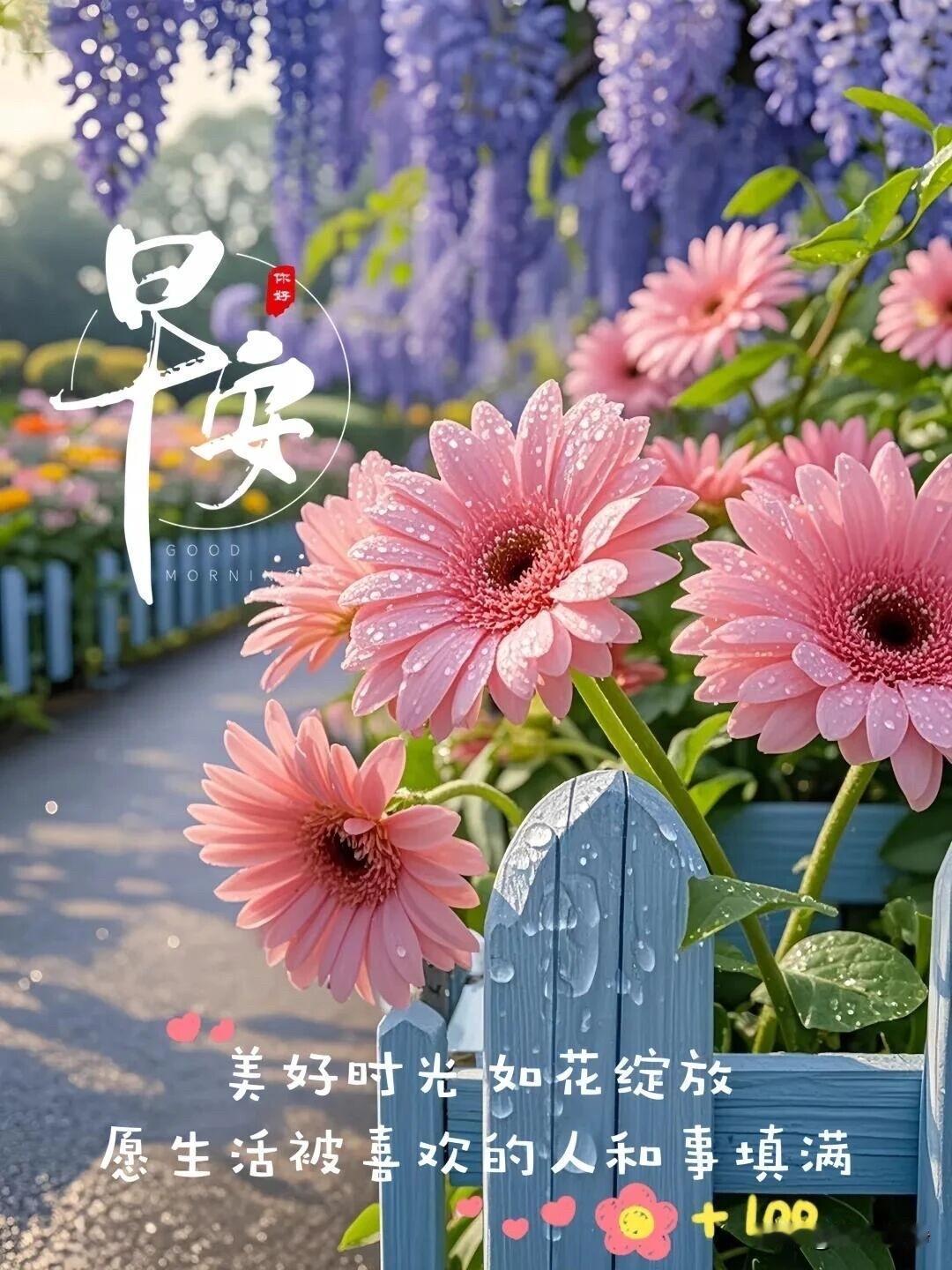 🍂²⁰²⁶/₀₈.₂₅ᵕ̈ 周二｜秋光入序☕️
晨雾轻敛，晚风送尽残暑，
秋意