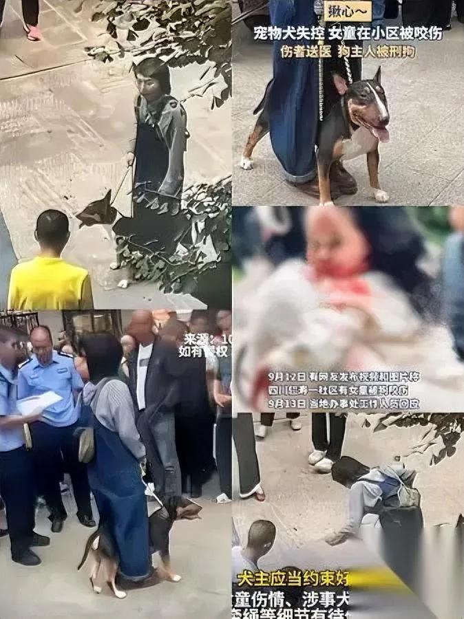 现在最悔断肠的人

是眉山那烈性犬主人

你猜她最后悔的是啥？

才不是怕赔多少