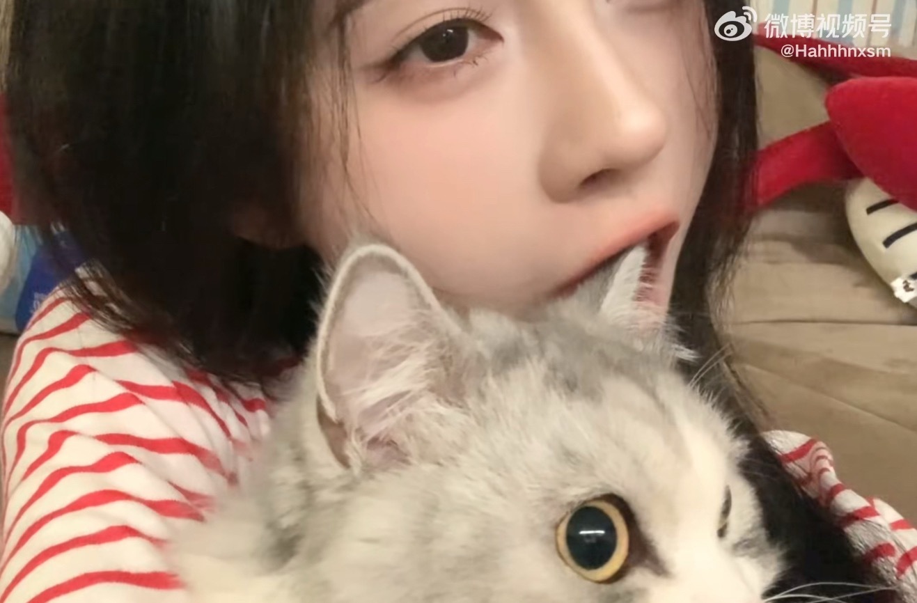 pk结果在笑笑微博早有记载：猪把猫啃了所以猪塑赢了✌🏻 