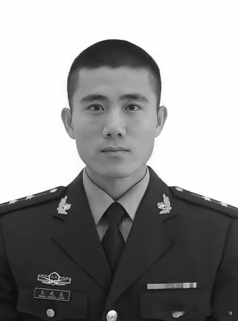 王成龙（1995年4月1日~2018年9月12日），男，汉族，山东省临沂市莒南县