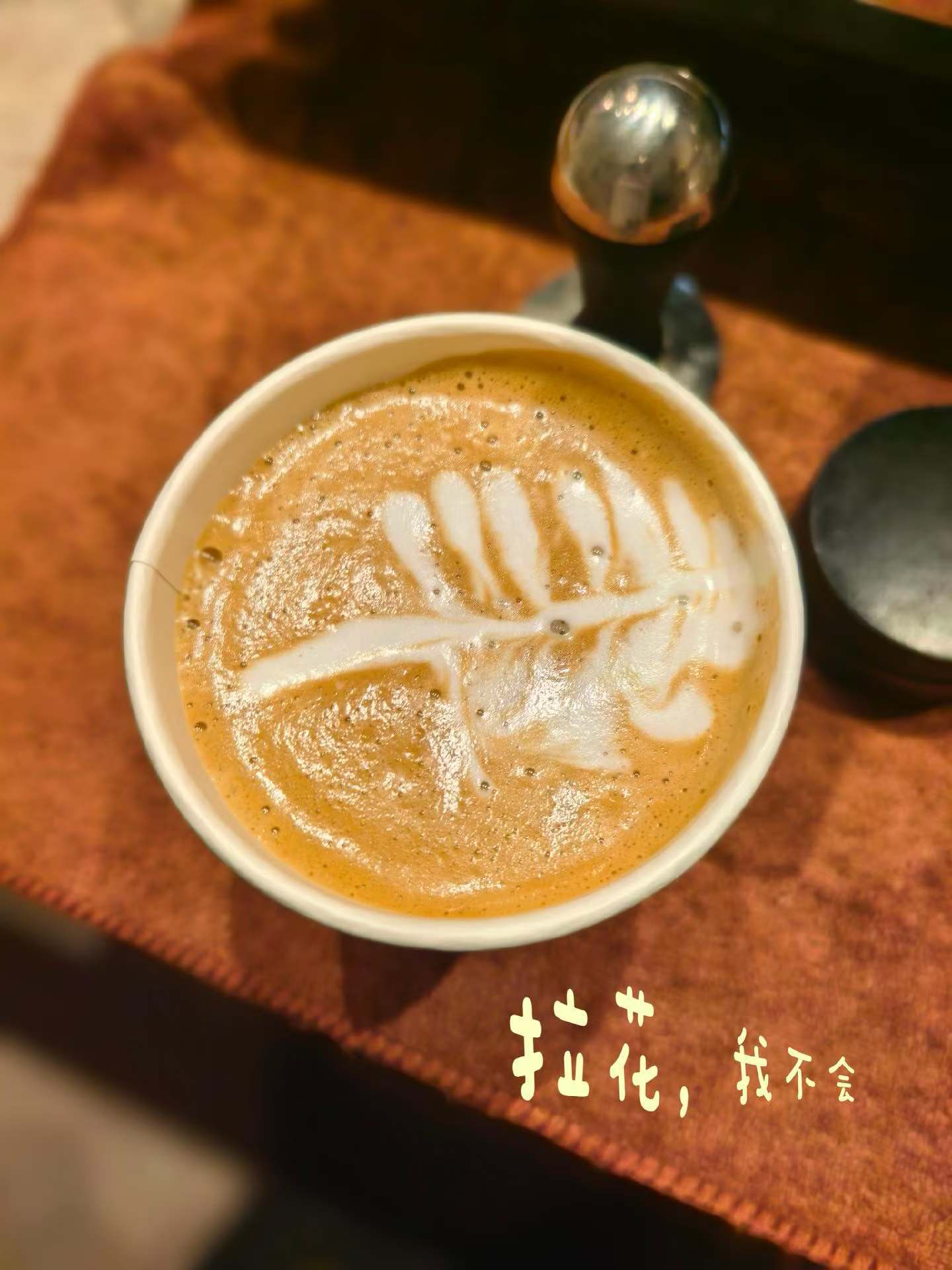 站在二月的渡口，往春天走来！🌸 