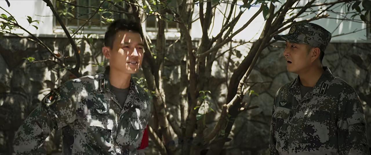 还比较喜欢悬疑剧，军旅剧，也喜欢欧豪，当然要追“兵自风中来”。

本来追的挺开心