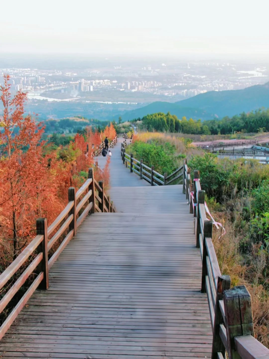 成都这条适合新手徒步的山顶步道‼️一定要来