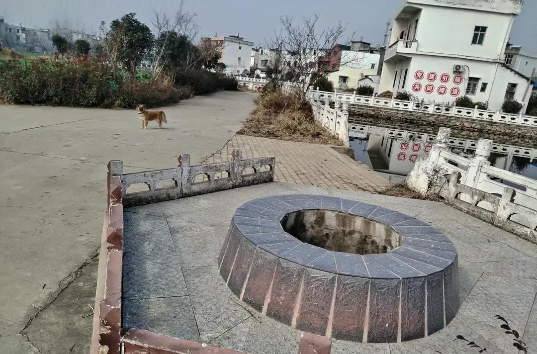 看到2026年的城乡居民养老缴费通知，我对着屏幕发了很久的呆
涨价这个词，最近听