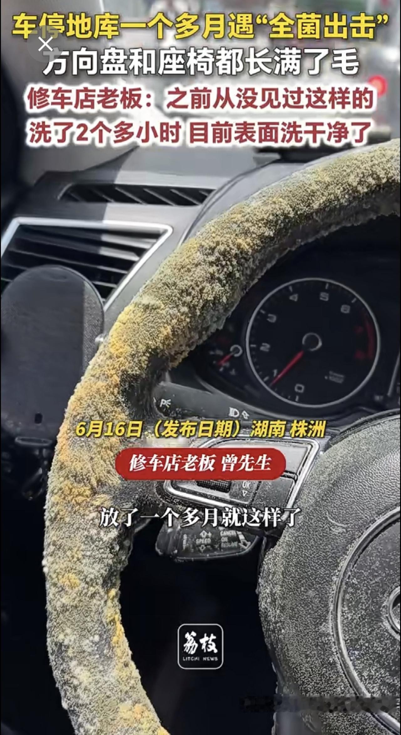 车停地库一个多月遇“全菌出击”，方向盘和座椅都长满了毛 修车店老板：之前从没见过