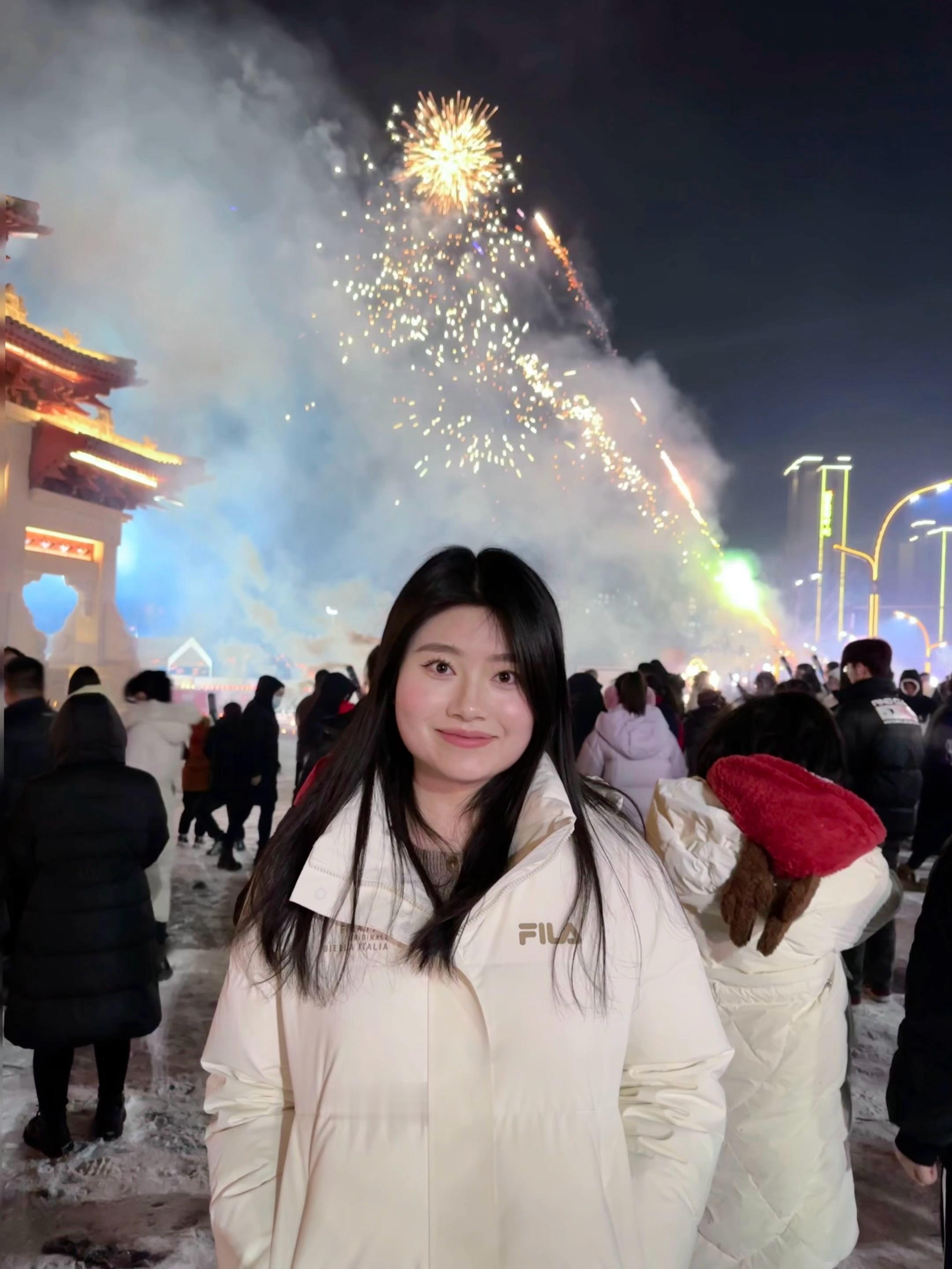 新年 心纳吉 万事欣 岁安平 