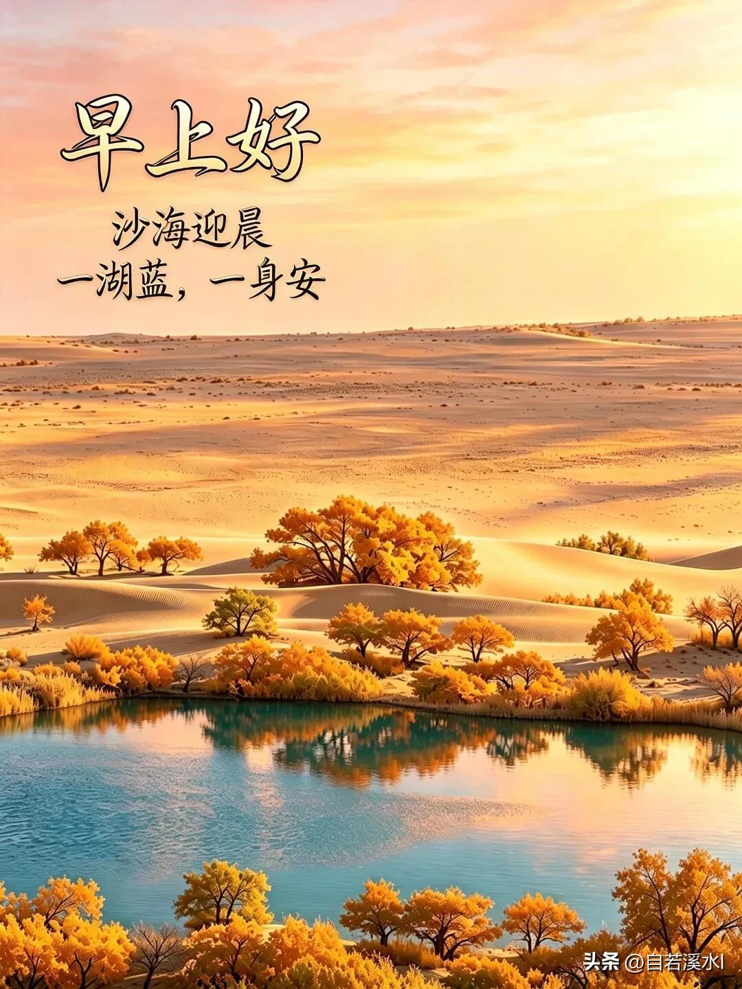  一抹晨光染大漠，一树金黄慰人心，早上好，万事顺意。