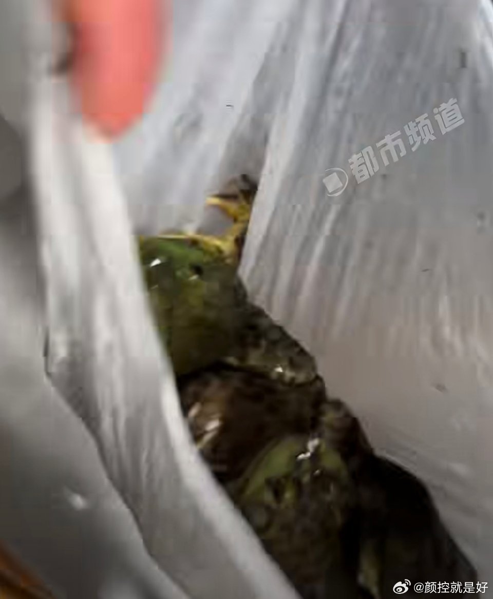 女子点外卖备注牛蛙不要烧收到活蛙所以她的“牛蛙不要烧”是什么意思呢？是要杀好洗干